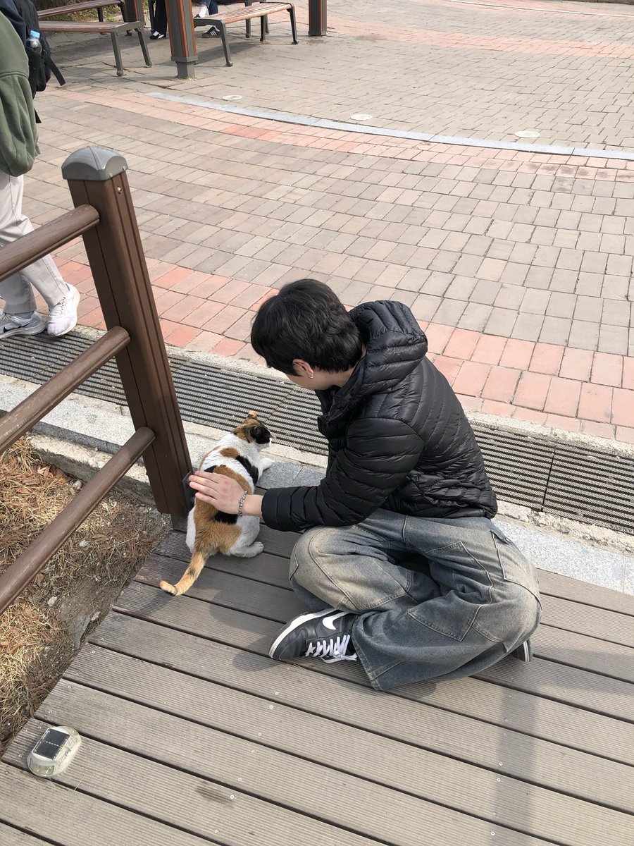 고양이랑 친구하기