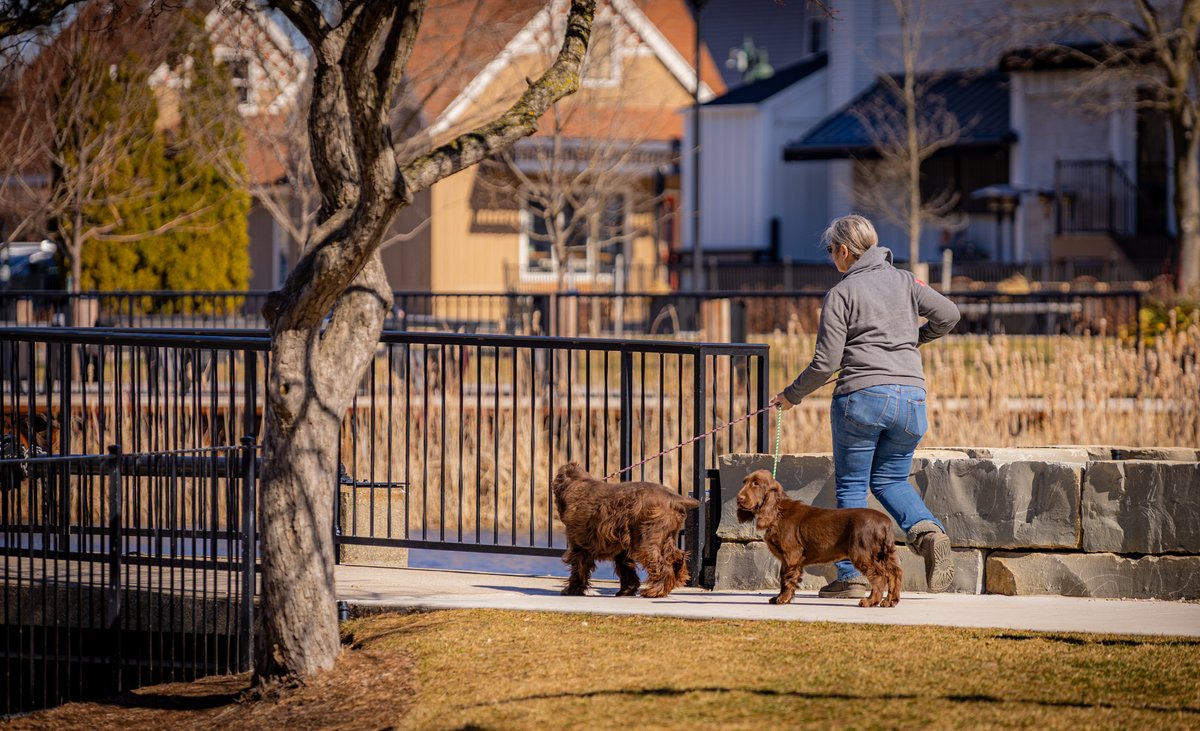 TiltedImage1's tweet photo. "When the dogs decide the direction."

#photograph #streetphotography #photography #canon #dogs #michigan https://t.co/taAUAhcd0v