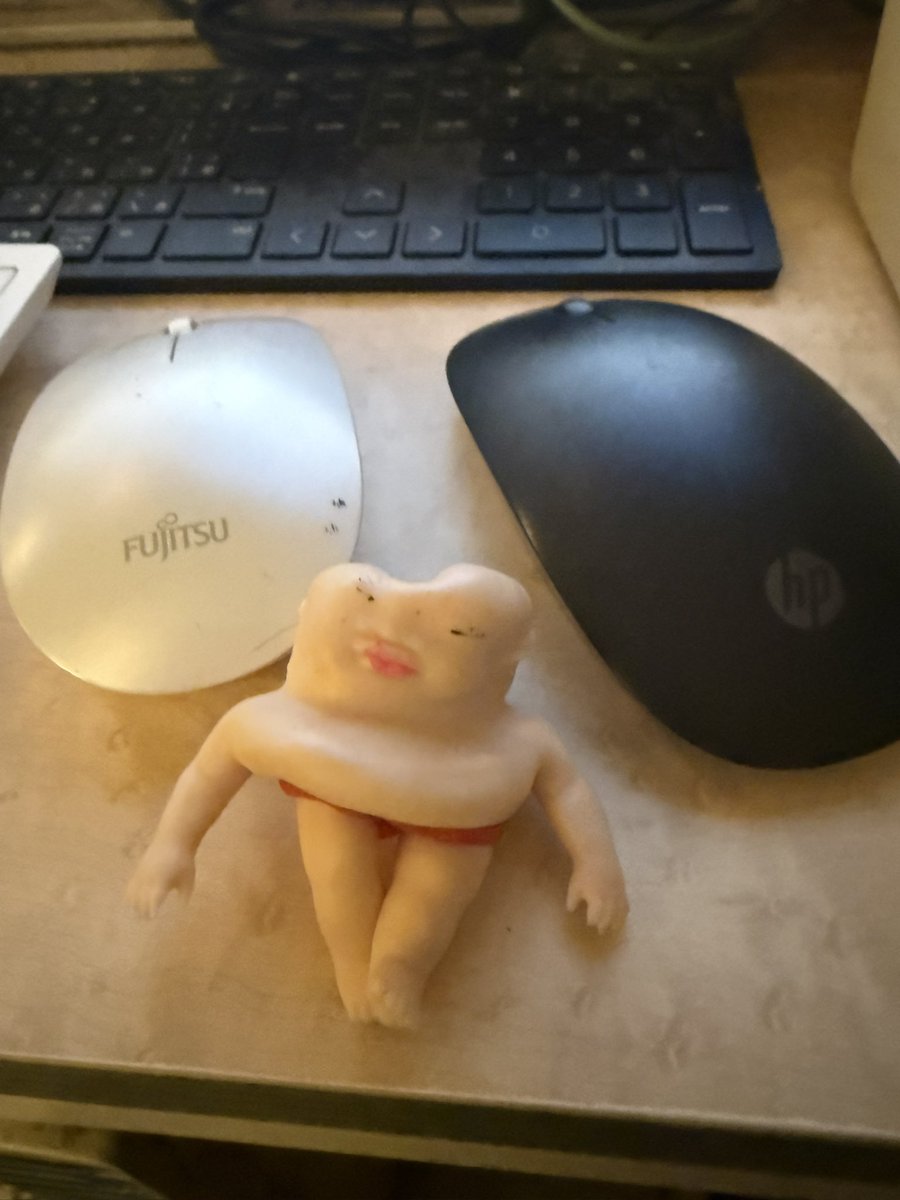 にっこんぽたーじゅ tweet media