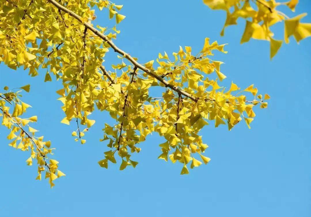 Stéfany tweet media