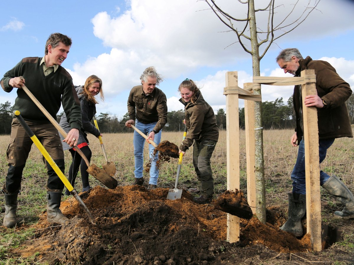 Arnhem Direct tweet media