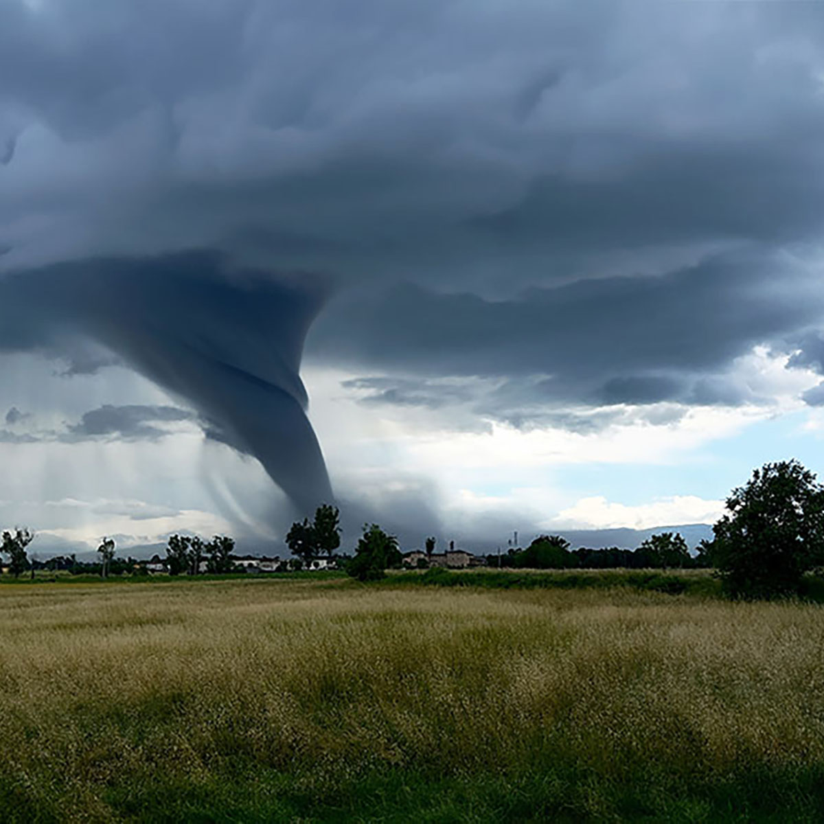 Foremost Insurance tweet media