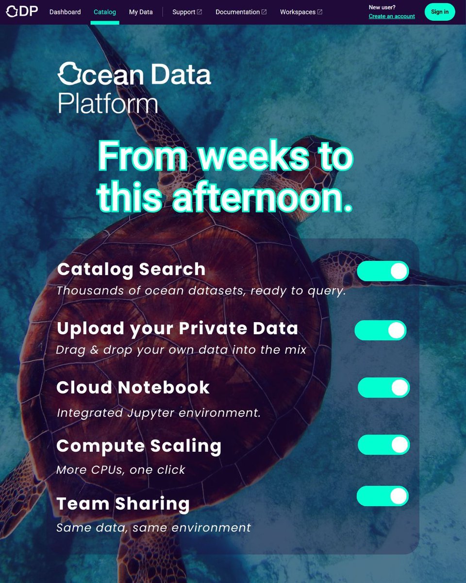 HUB Ocean tweet media