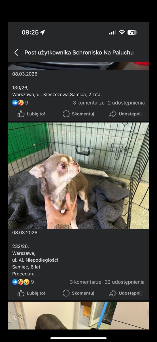 Wiktoria tweet media