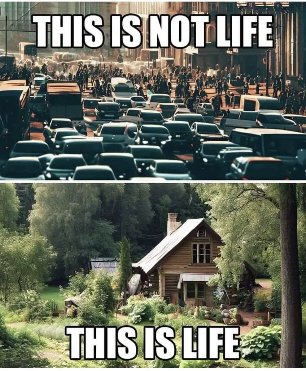 𝘤𝘢𝘣𝘪𝘯 𝘷𝘪𝘴𝘶𝘢𝘭𝘴 ❁࿐❁ tweet media