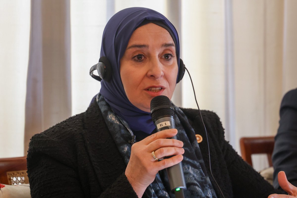 Elif Esen tweet media