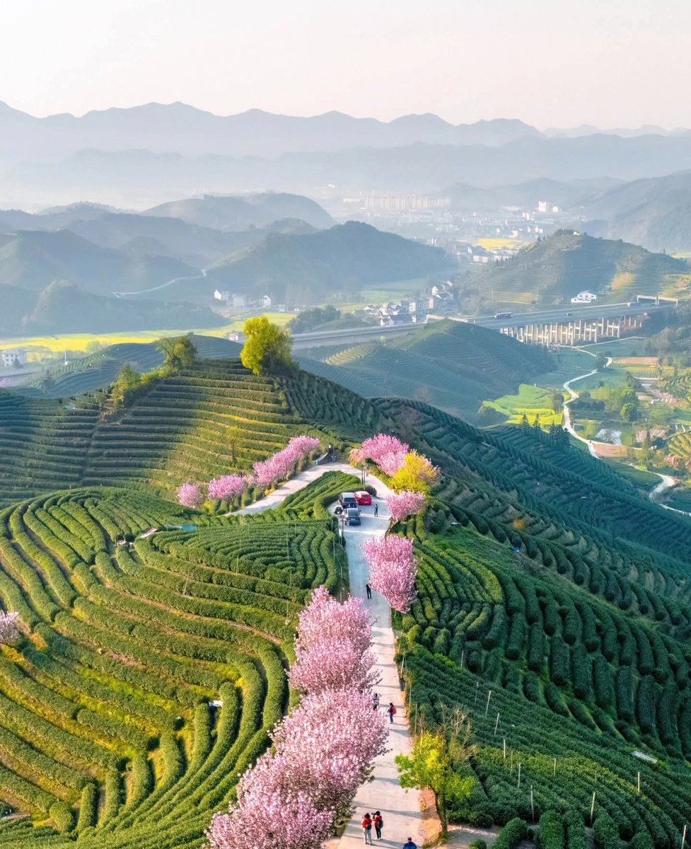 guohui5236 fo(互粉) tweet media