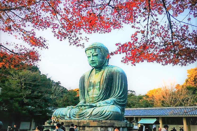 Tokyonobo tweet media