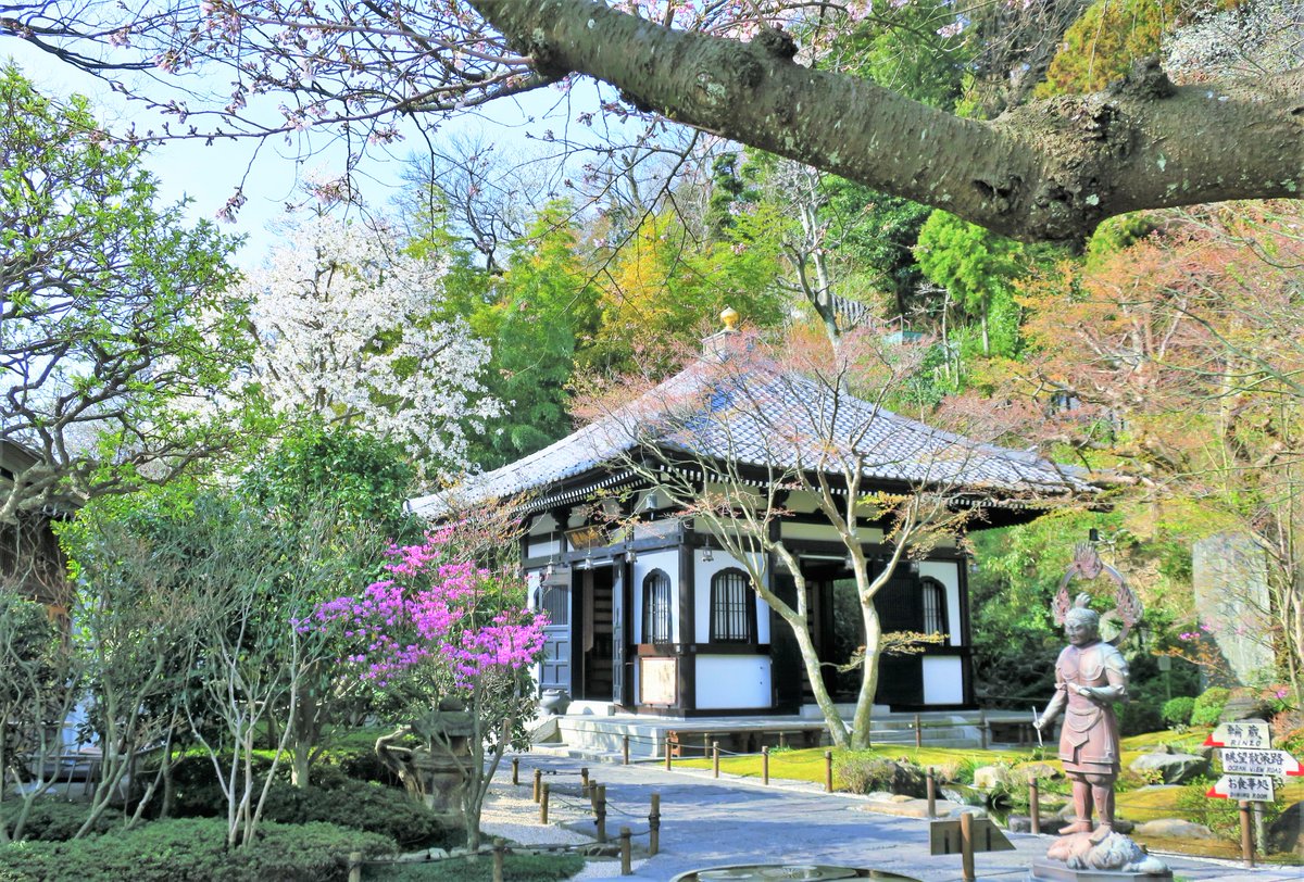 Tokyonobo tweet media