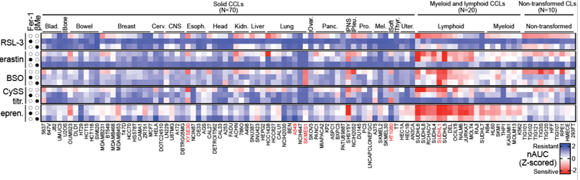 Richard Possemato tweet media