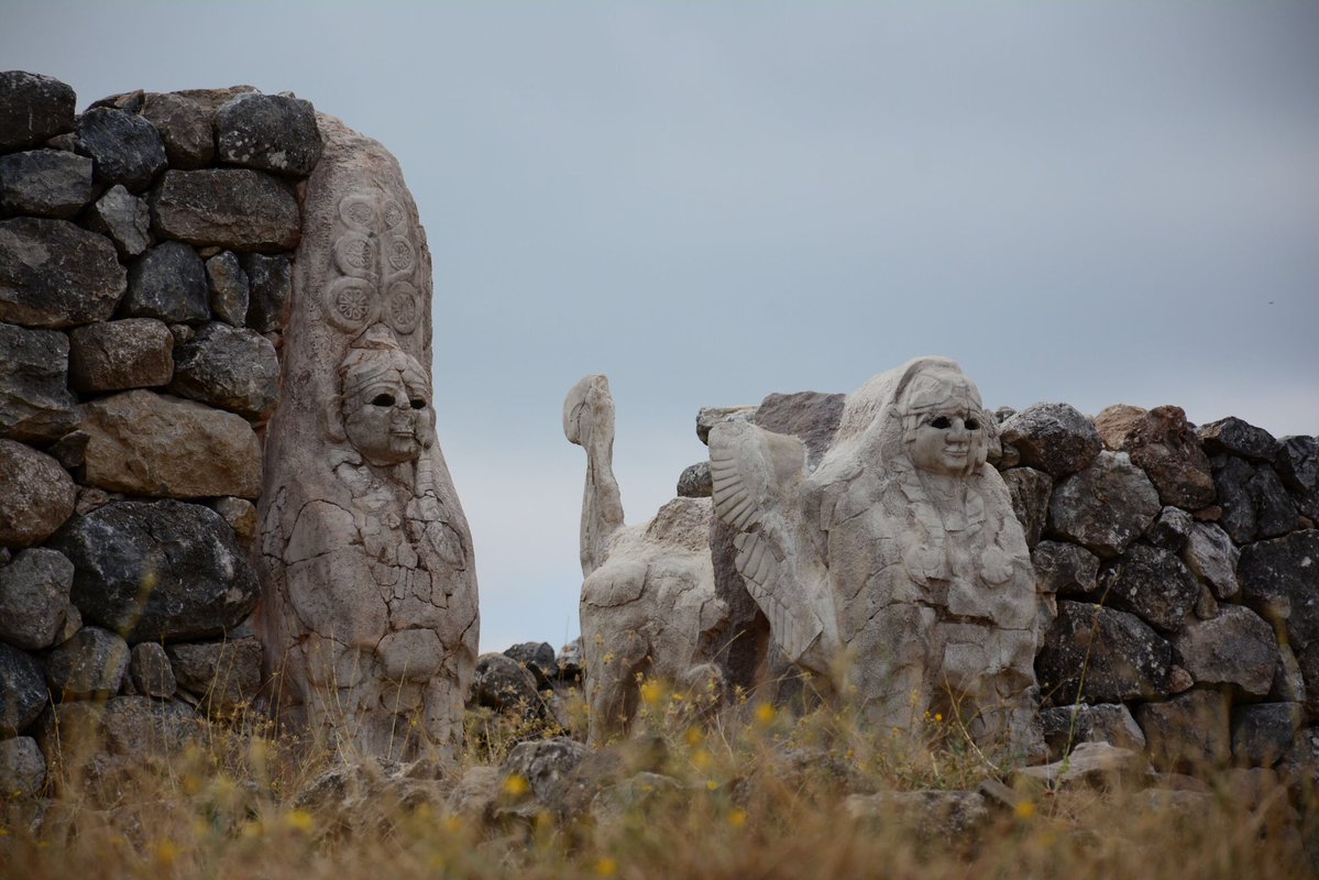 Yunus Emre Enstitüsü tweet media