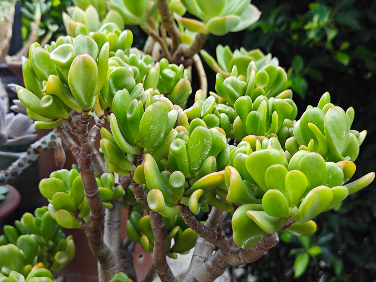 Dan Molloy tweet media