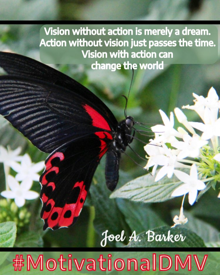 MotivationalDMV2 tweet media