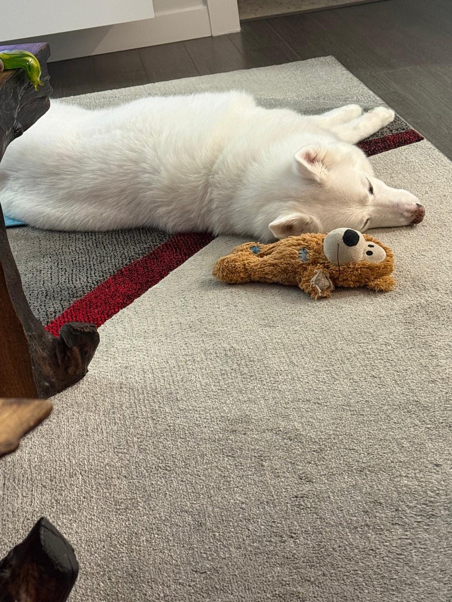 Jack Cymet tweet media