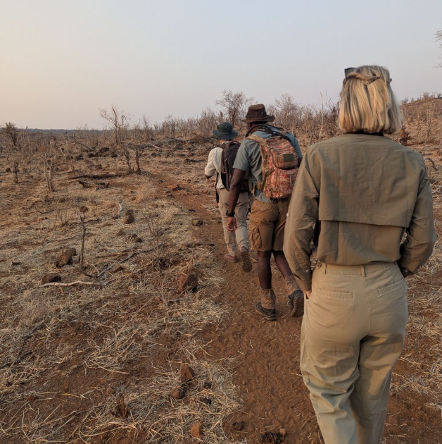 PelorusF's tweet photo. In Matetsi Private Game Reserve near Victoria Falls, conservation happens quietly. Our writer Savannah Varty joined patrols to see this work first hand:

https://t.co/fTgb2GfiV1

#conservation #matetsi #rangers #africa https://t.co/hw7zoRiqsG