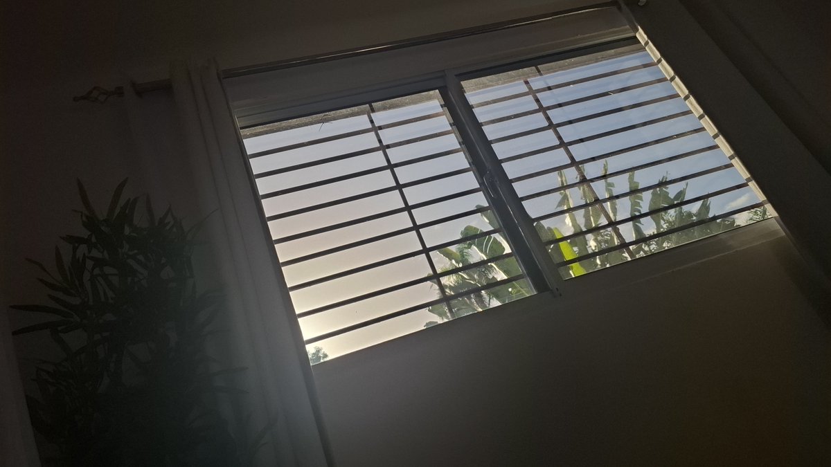 Cattis Ledius tweet media