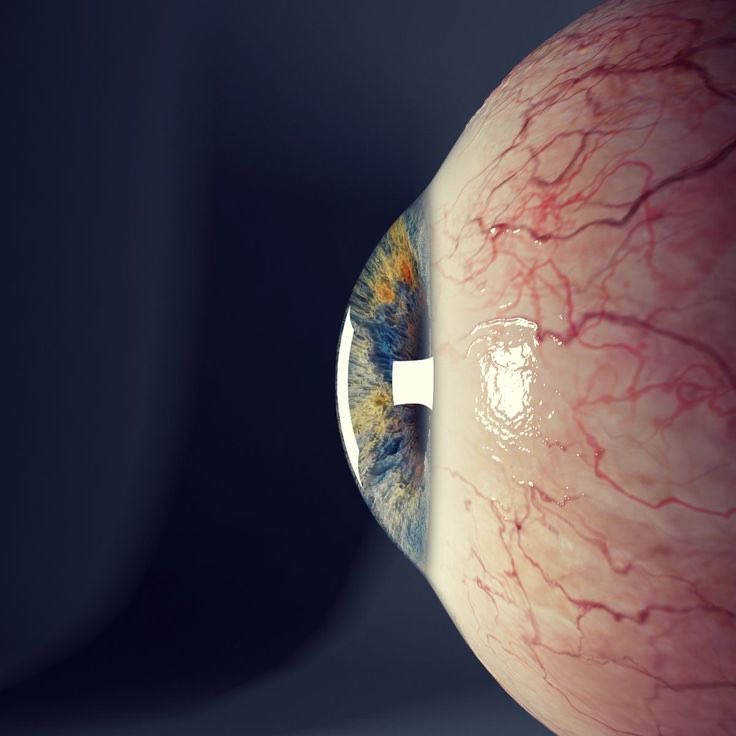NightSkyToday's tweet photo. BREAKING🚨:  Scientists in South Korea printed a living human eye and successfully implanted it into a blind patient, restoring vision. https://t.co/9qUD74Qp3h