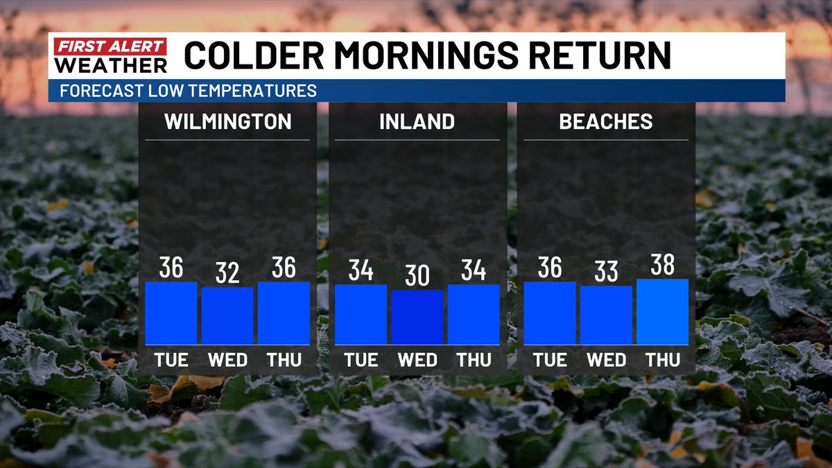 Gannon Medwick tweet media