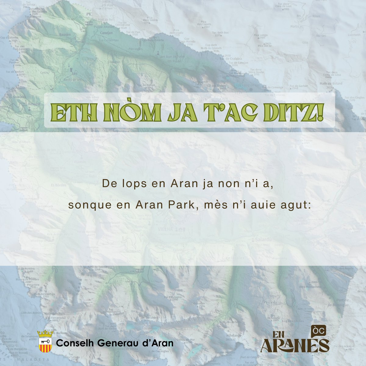 En Aranés tweet media