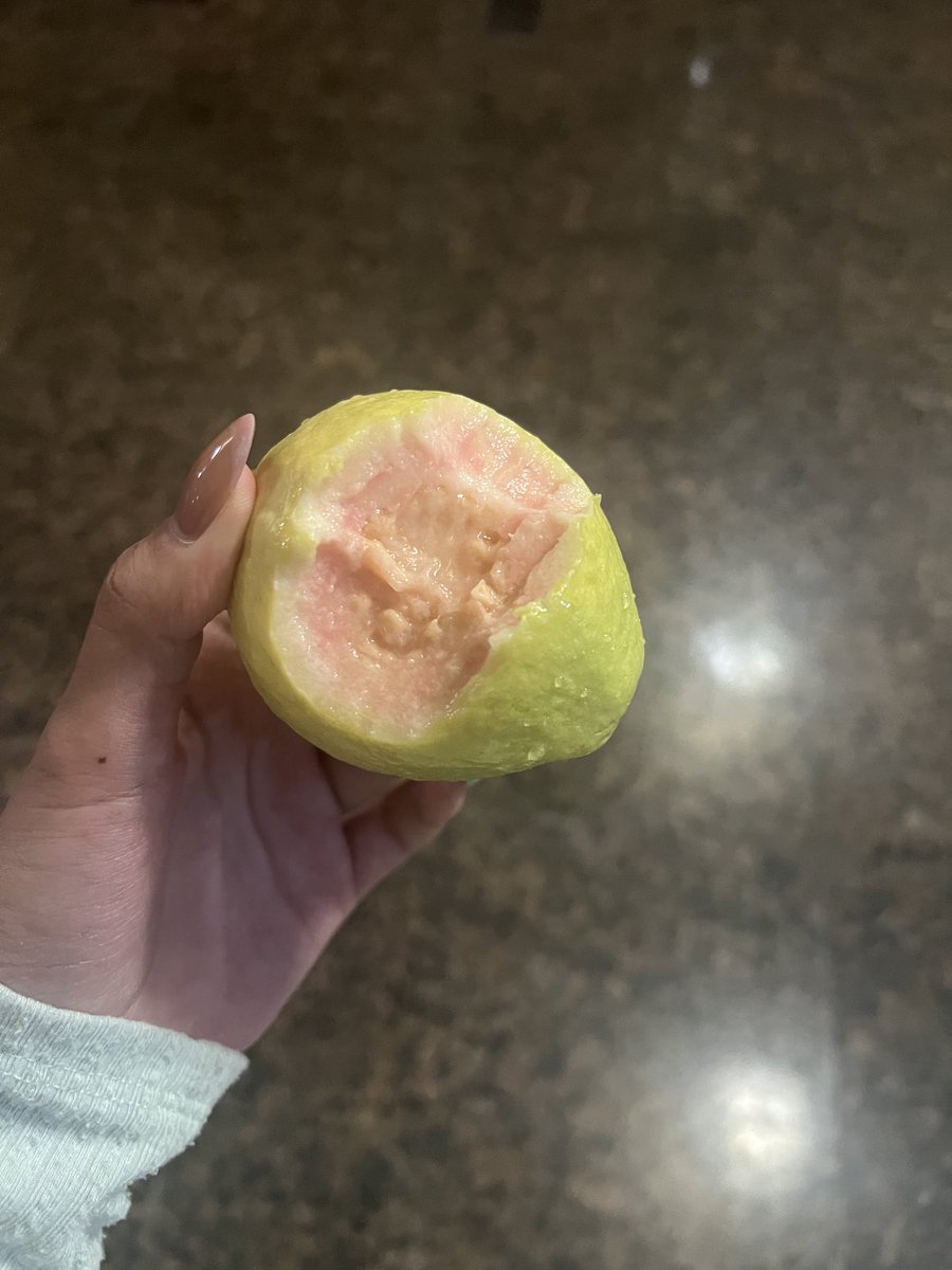 花枝丸 tweet media