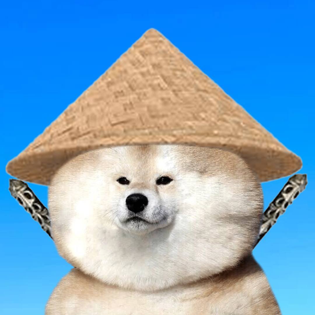 Joe Trades tweet media