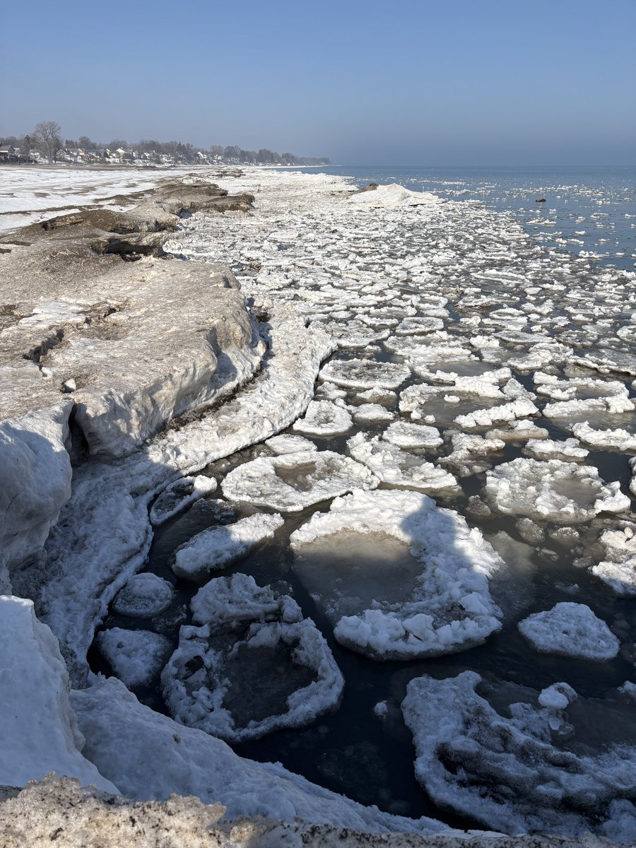 Tina MacIntyre-Yee 🌊 tweet media