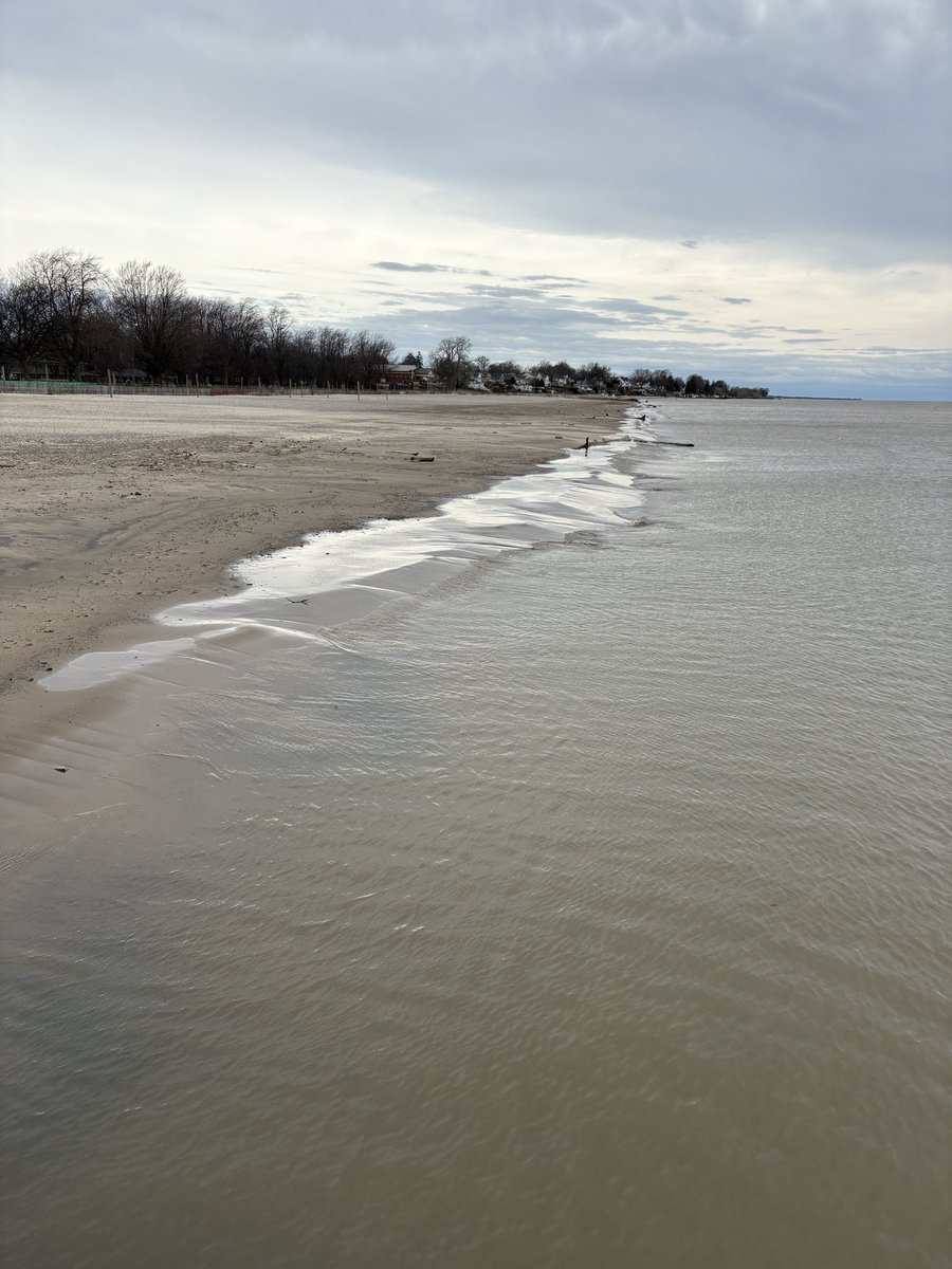 Tina MacIntyre-Yee 🌊 tweet media