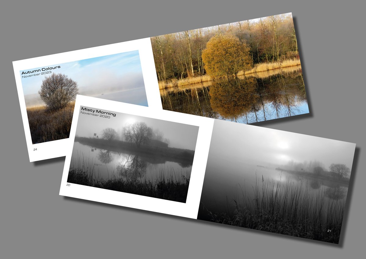 Brian Craig tweet media