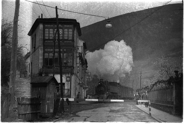 maría💐 tweet media