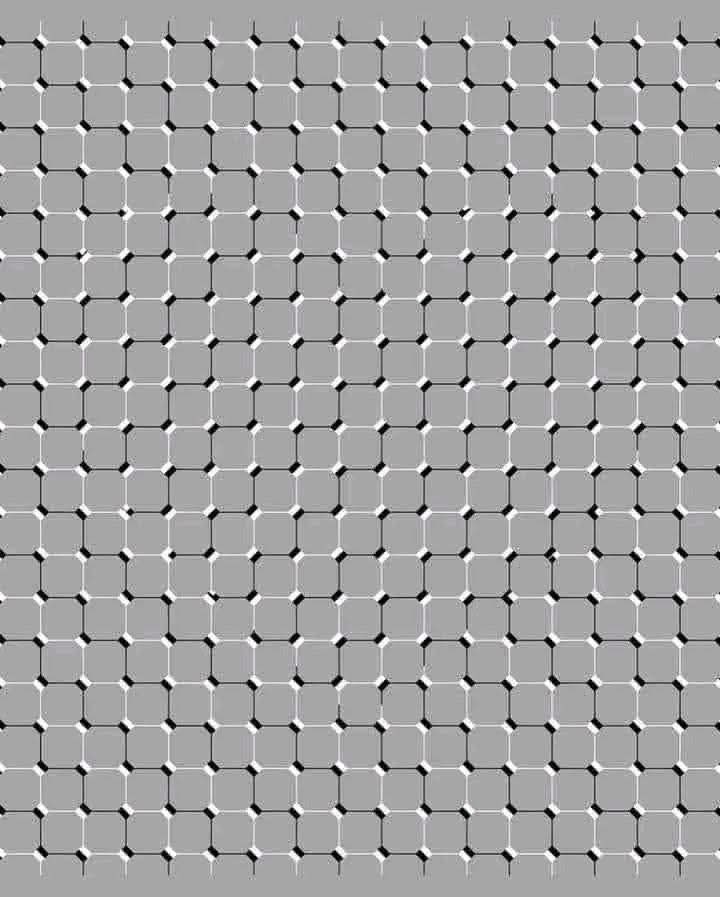 Kellyjames1f7's tweet photo. let me see clever people who get that correct what do you see within this picture https://t.co/Lb50CdkqYO