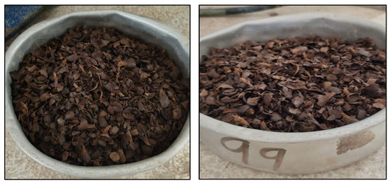 #recommendedreading

📖 Impact of Physical Processes and Temperatures on the Composition, Microstructure, and Pozzolanic Properties of Oil Palm Kernel Ash, by Ramón Torres-Ortega, et al.

🔗Read at: brnw.ch/21x0Mh3

#SustainableMaterials #PozzolanicMaterials