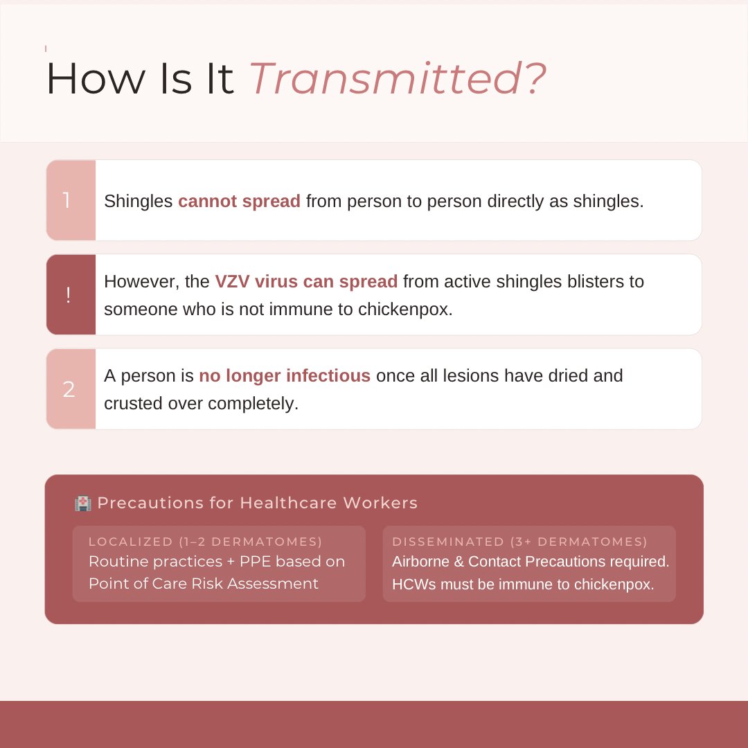 HNHB IPAC Hub tweet media