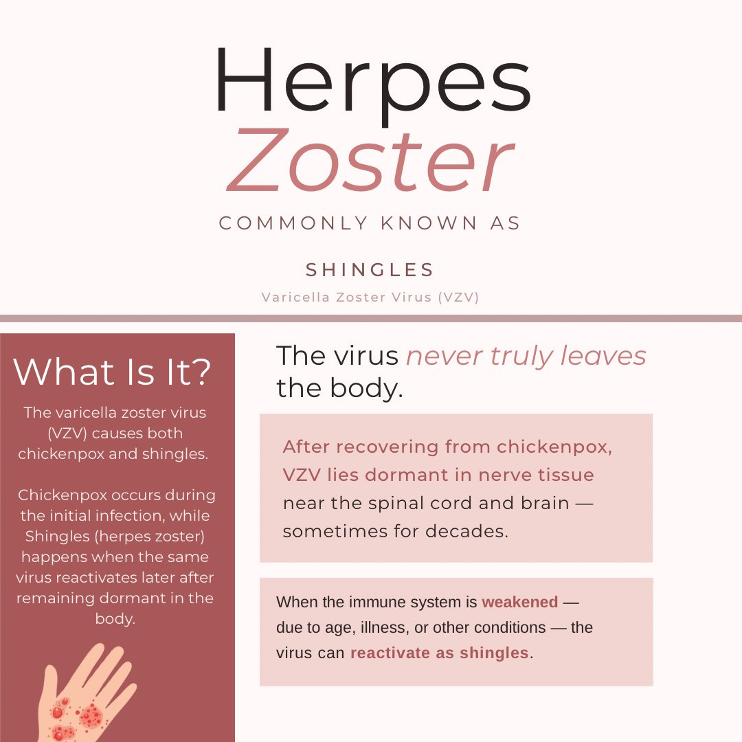 HNHB IPAC Hub tweet media