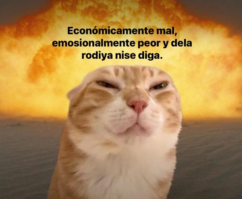 Lonely🥀 tweet media