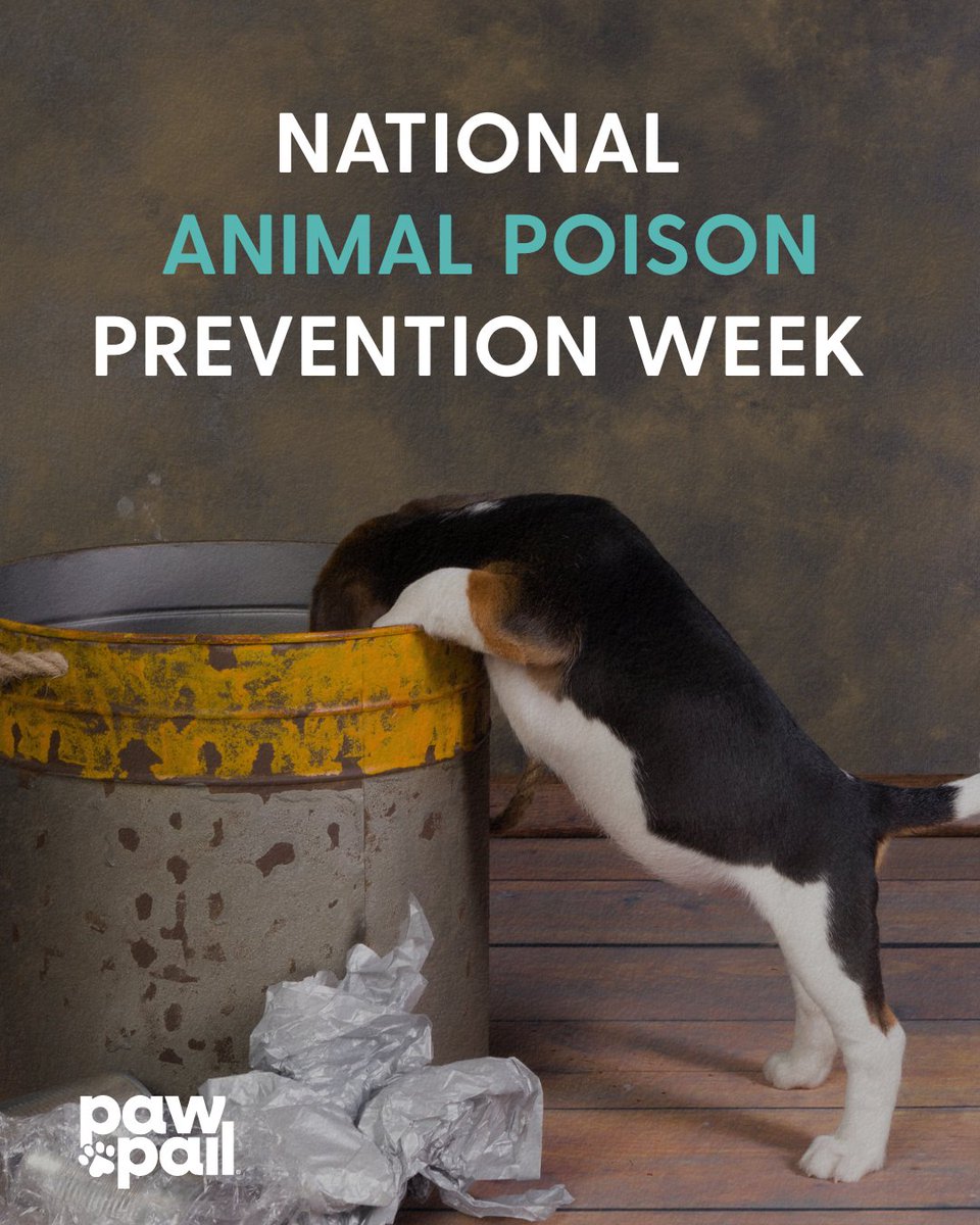 🐾 It’s National Animal Poison Prevention Week! From everyday foods to household cleaners, small hazards can be a big danger for pets. Stay informed, stay prepared, and help keep every tail wagging safely. 

#NAPPW #PetSafety #PoisonPreventionWeek