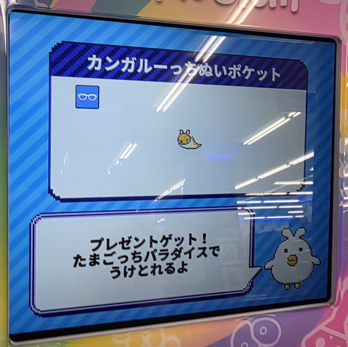 ミニゲームの賞品は3問正解がコアラ、2問正解がクマノミ、1問正解が