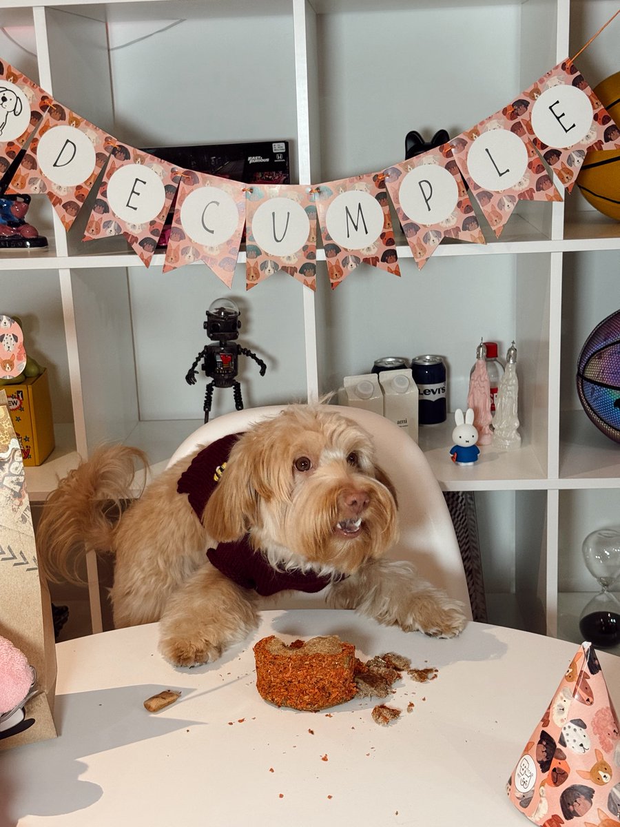 Daniela Riaño tweet media