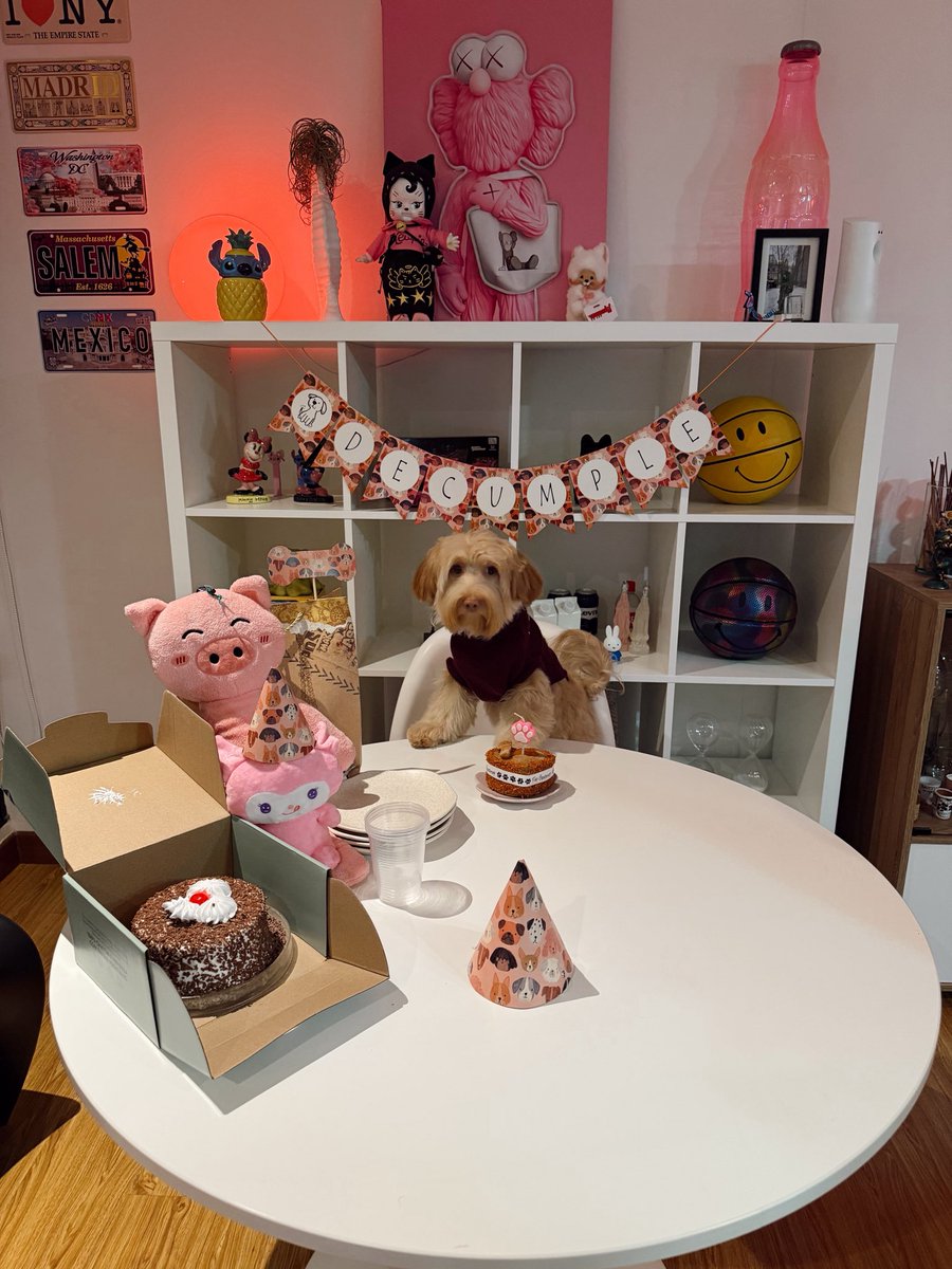 Daniela Riaño tweet media