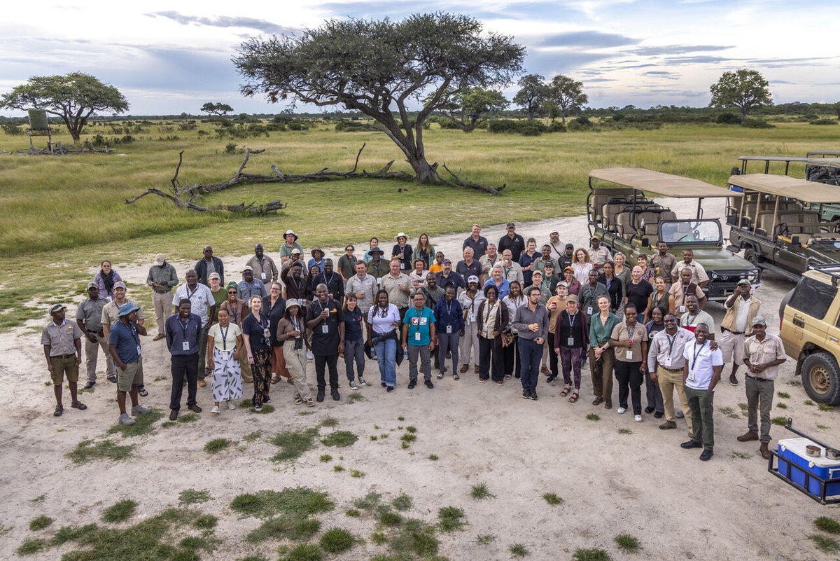 Save the Rhino Trust tweet media