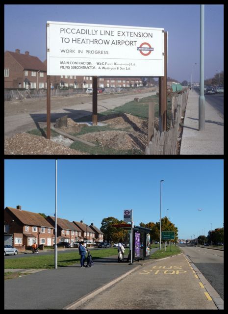 Tetramesh tweet media