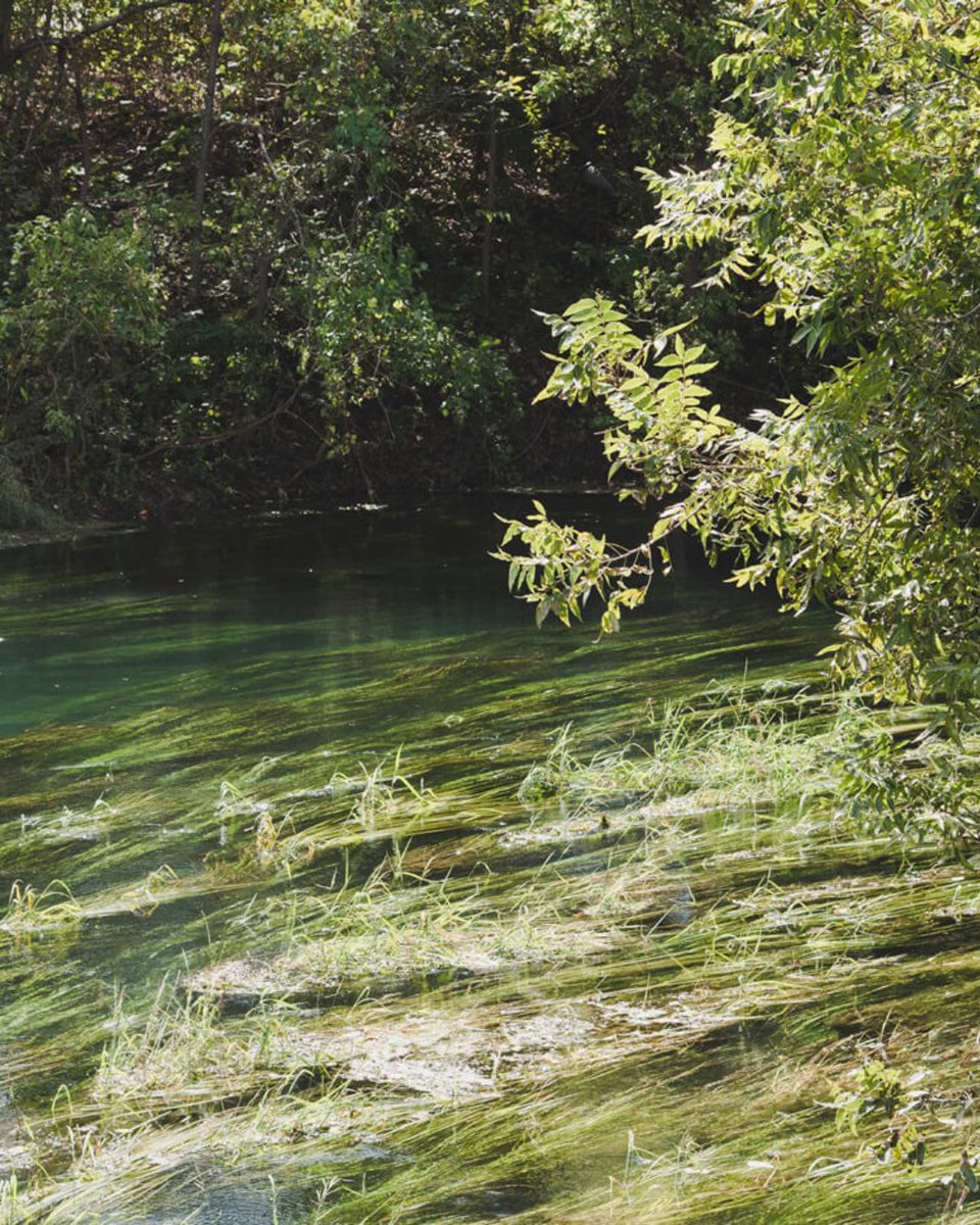 The Graduate College tweet media