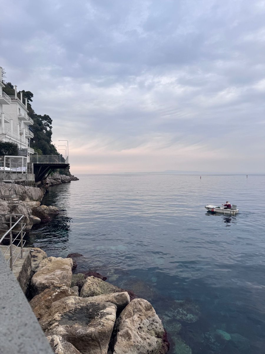 Jake Shaw tweet media