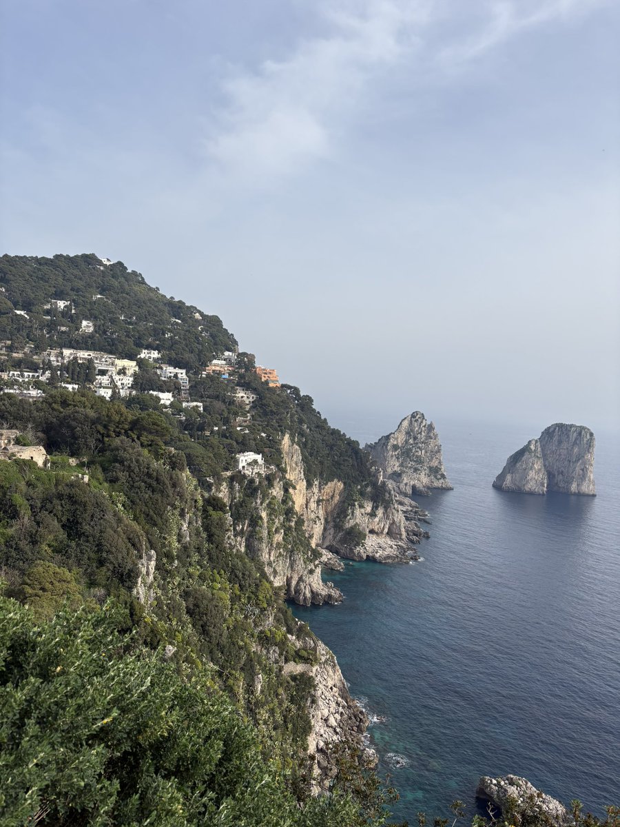 Jake Shaw tweet media