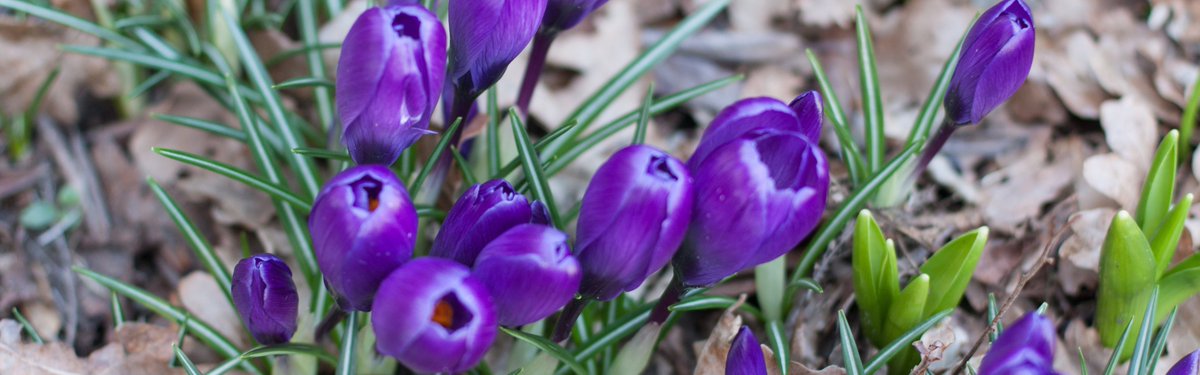 Sadique Chowdhury tweet media