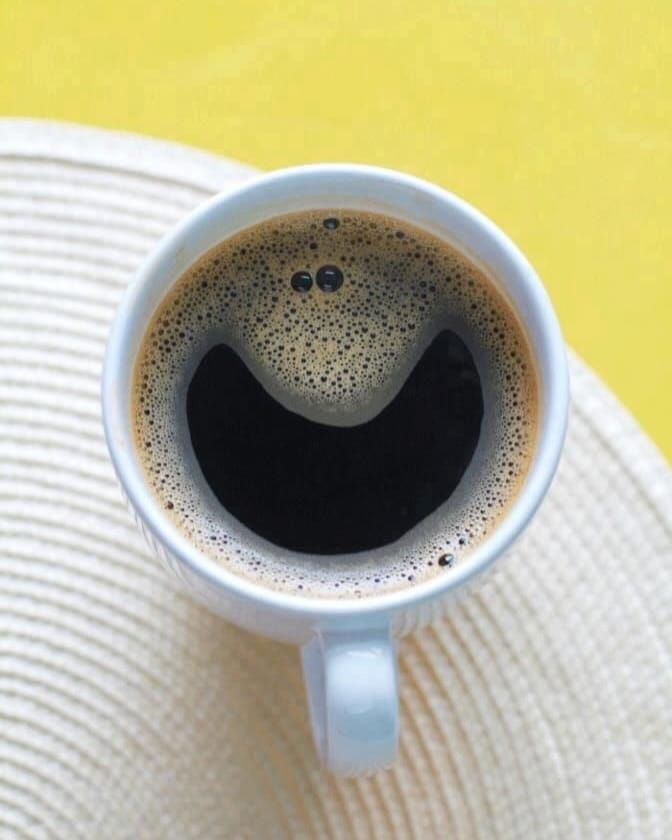 Orbital Marketing Digital tweet media