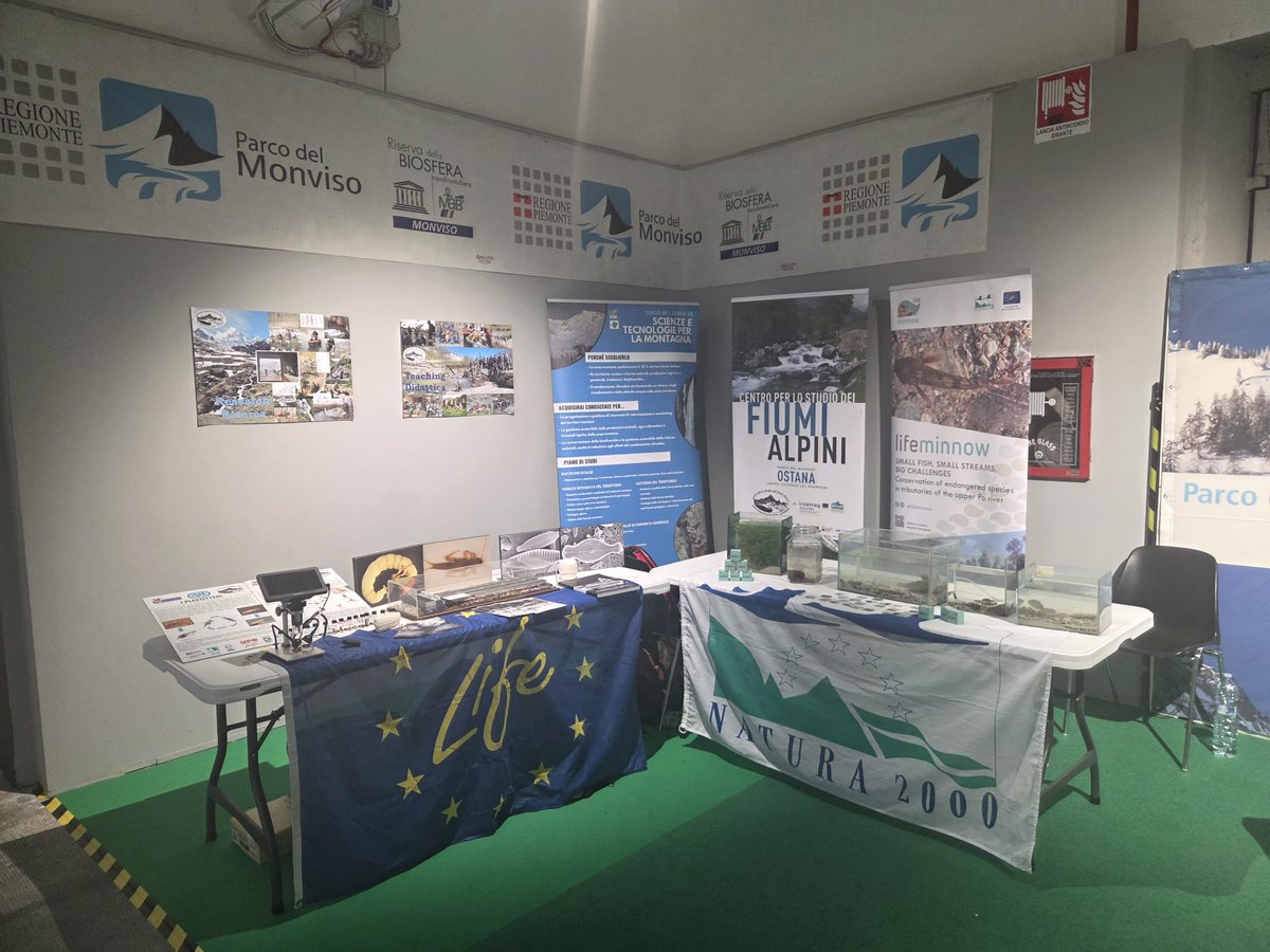 @DBIOSUnito tweet media