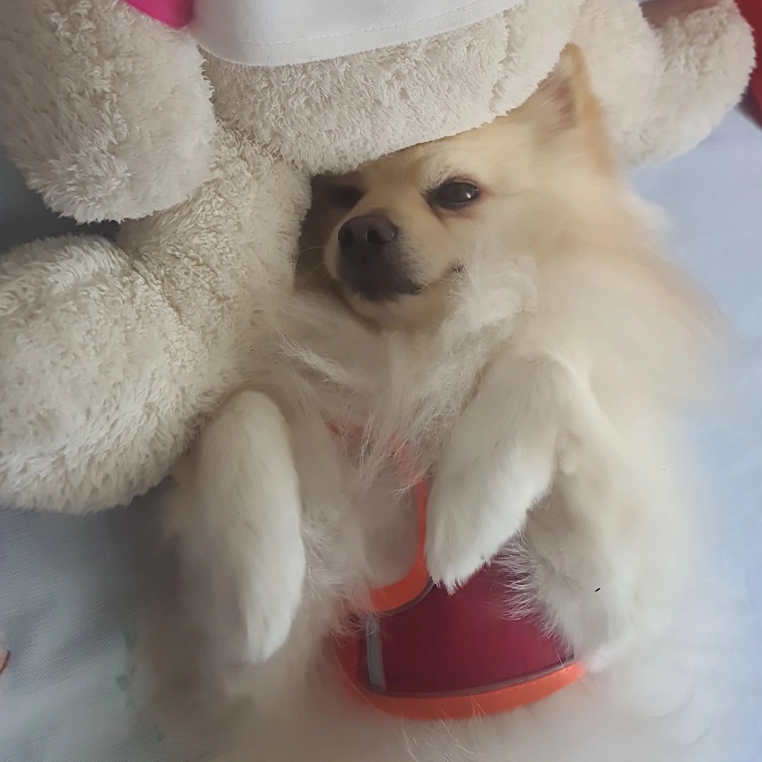 belle🩺 tweet media