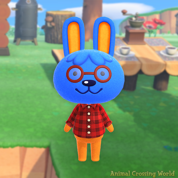 Animal Crossing World 🏝️ tweet media