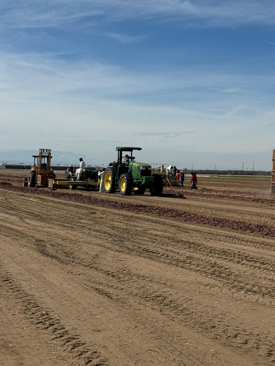 United Farm Workers tweet media