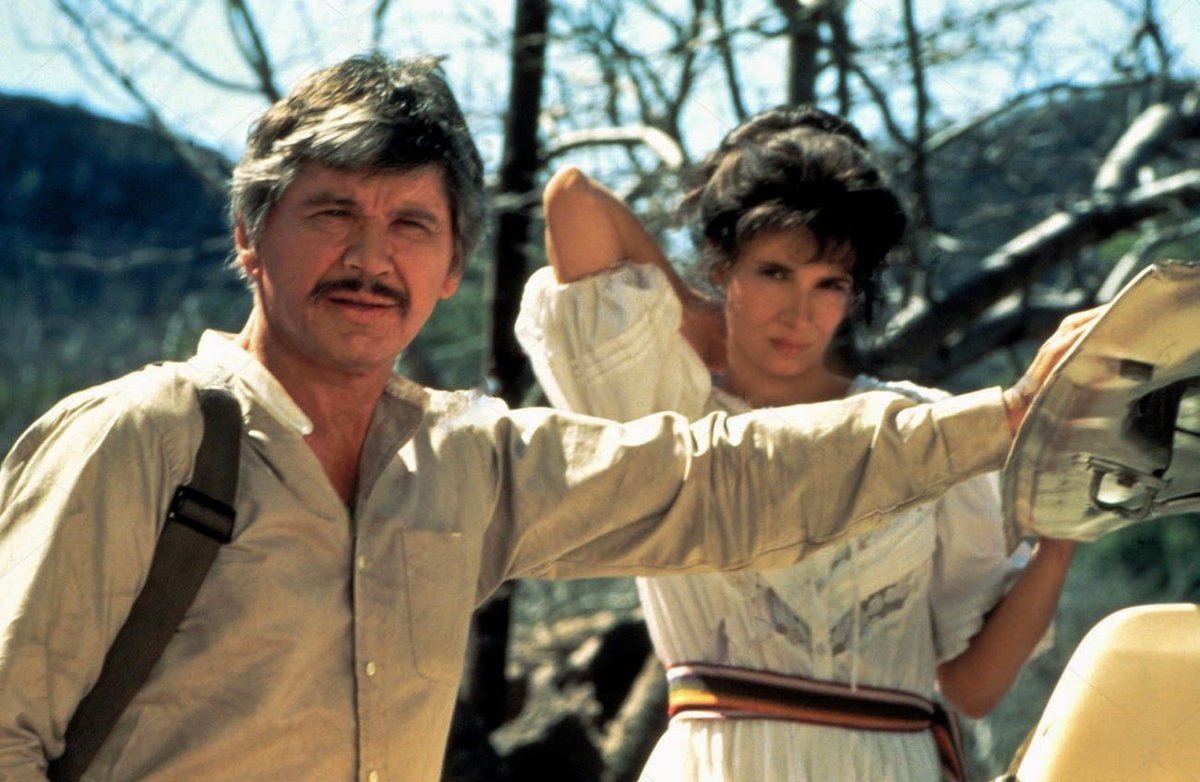 BronsonCON tweet media